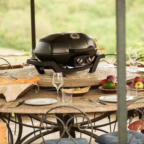Grill Adventures: Our Take on the Napoleon Rogue® XT 425