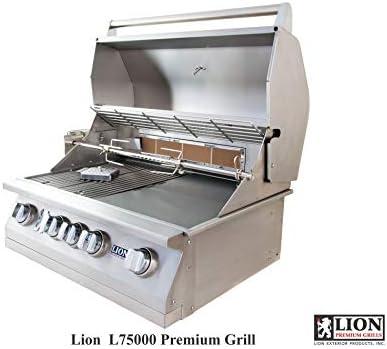 Grill & Chill:⁣ Our Backyard Bliss with the Lion L75000