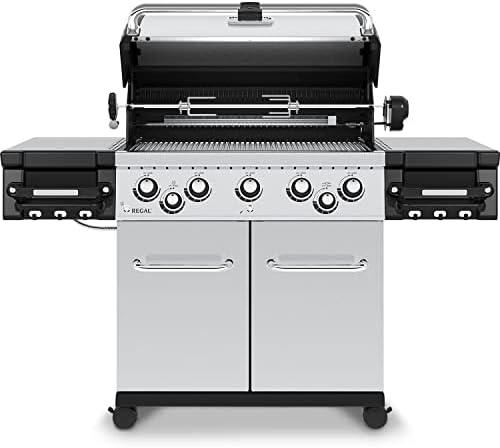 Grill Greatness: Our Experience with the Regal S 590 Pro