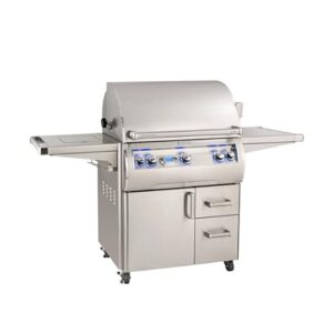 AMS Fireplace | Firemagic | Echelon E660s | Portable Grill | Digital | Single Side Burner | Natural Gas | SKU : E660S-8E1N-62
