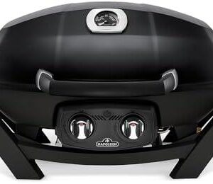 Grill Adventures: Our Take on the Napoleon Rogue® XT 425