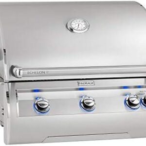 Grill Masters Unite: Our Take on the Echelon E660I-4L