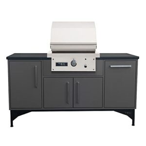 TEC Patio Gas Grill on Midcentury Modern Island (PFR1LPISL), 66-Inches, Propane