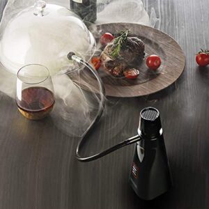 GaoYunQin Smoking Gun & Portable Smoke Infuser Multi-Purpose Food Smoker, Battery Operated, Can Be Used to Make Cocktail, Salmon, Beef, Etc, Wood Chips Include