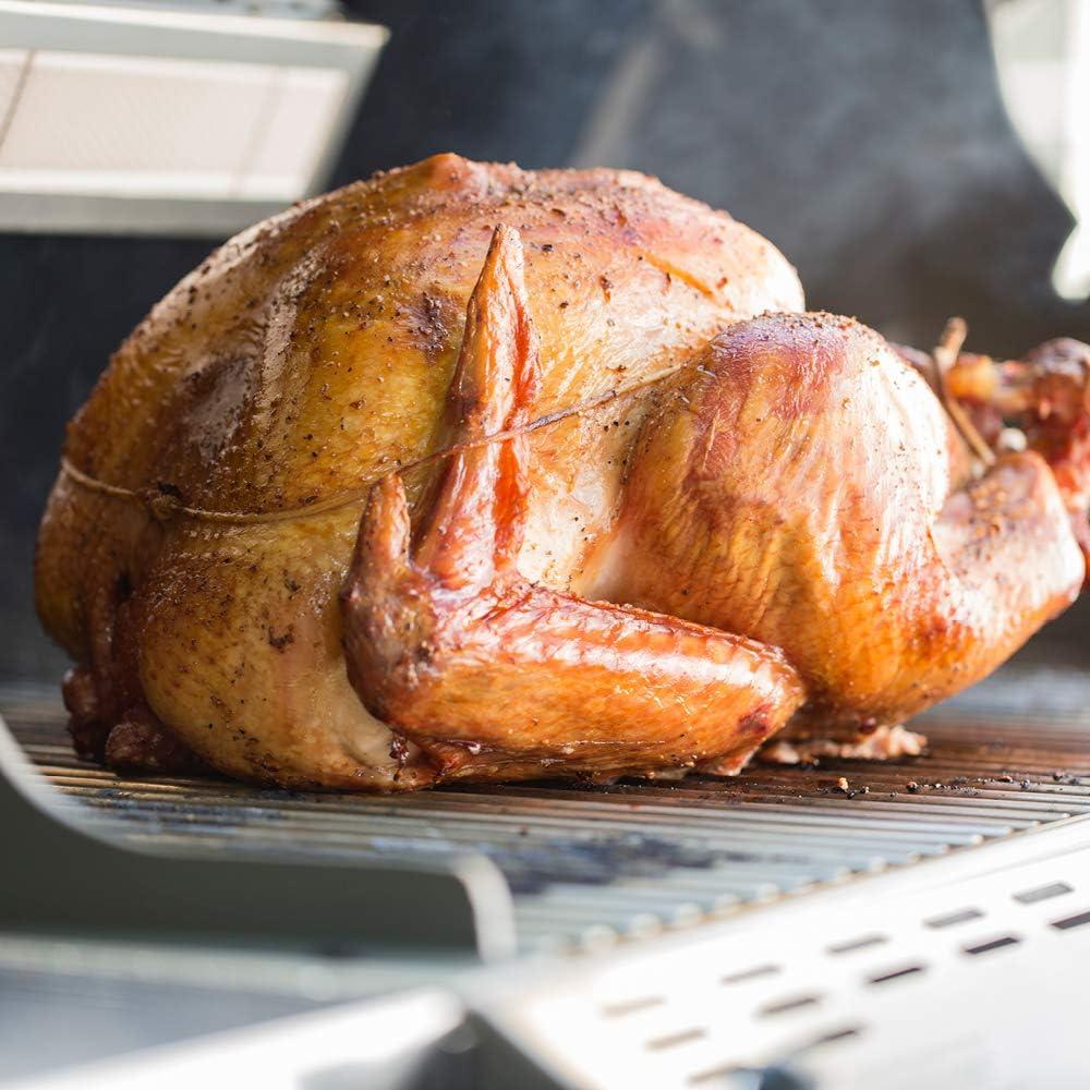 unleashing the Culinary Beast: Our‍ Weber Summit E-670 Review