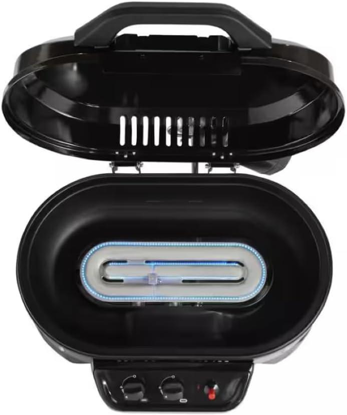 Grilling Adventures: Our Experience with the II76379