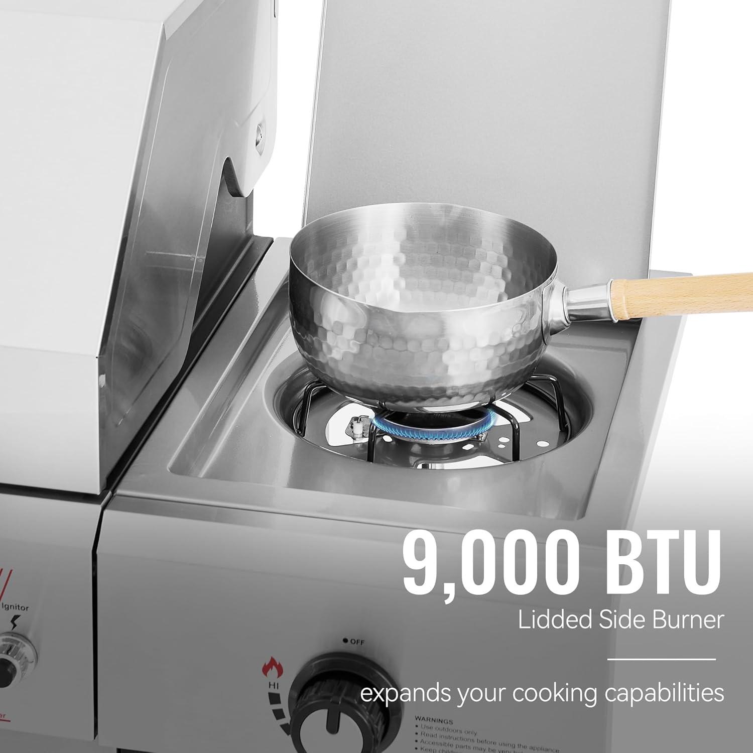 Cooking Up Memories: Our Royal gourmet BBQ Experience