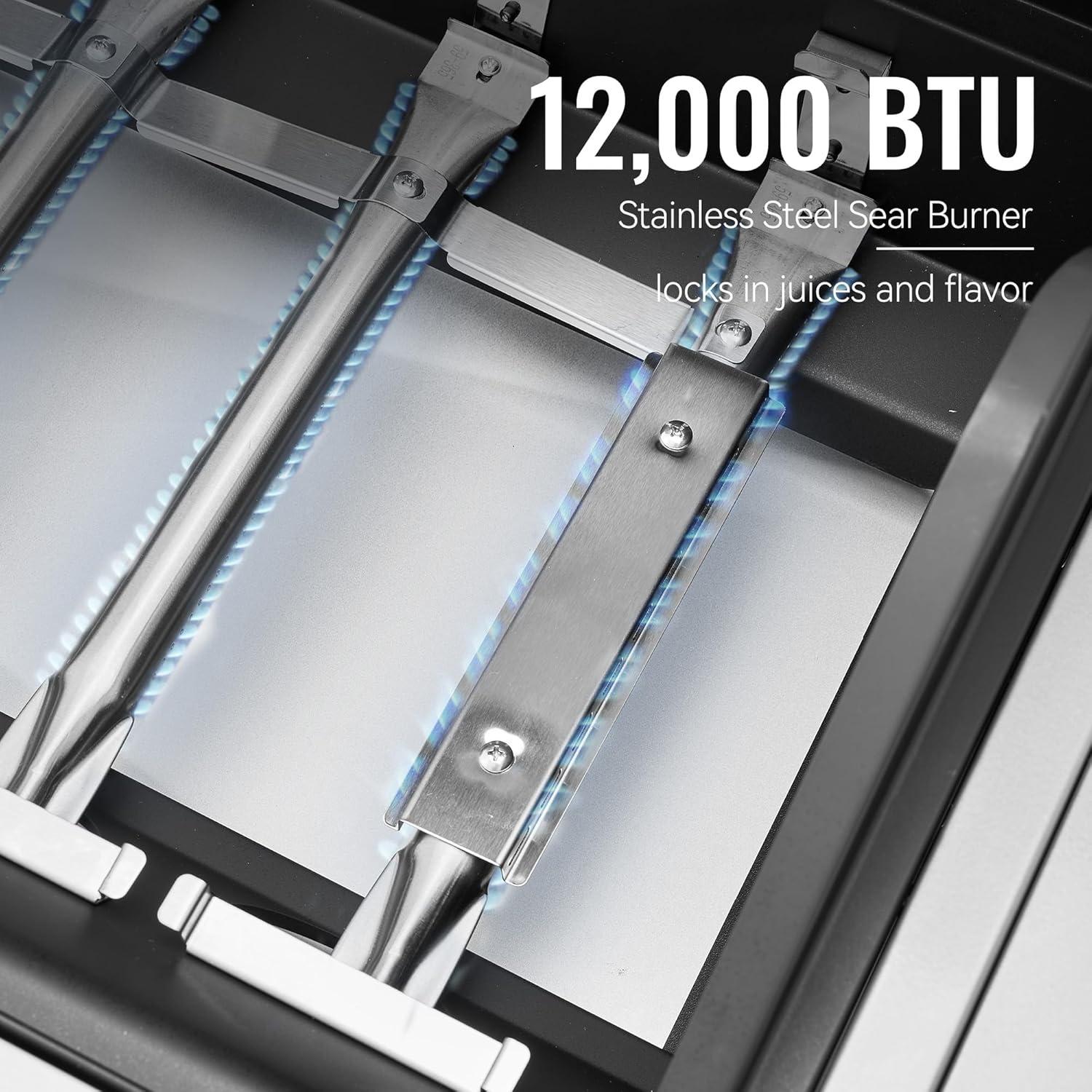 Cooking Up Memories: Our Royal Gourmet BBQ Experience