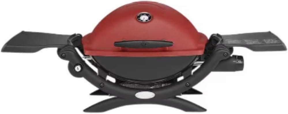 Fire Up Fun: Our Adventure with the Red 1-Burner grill