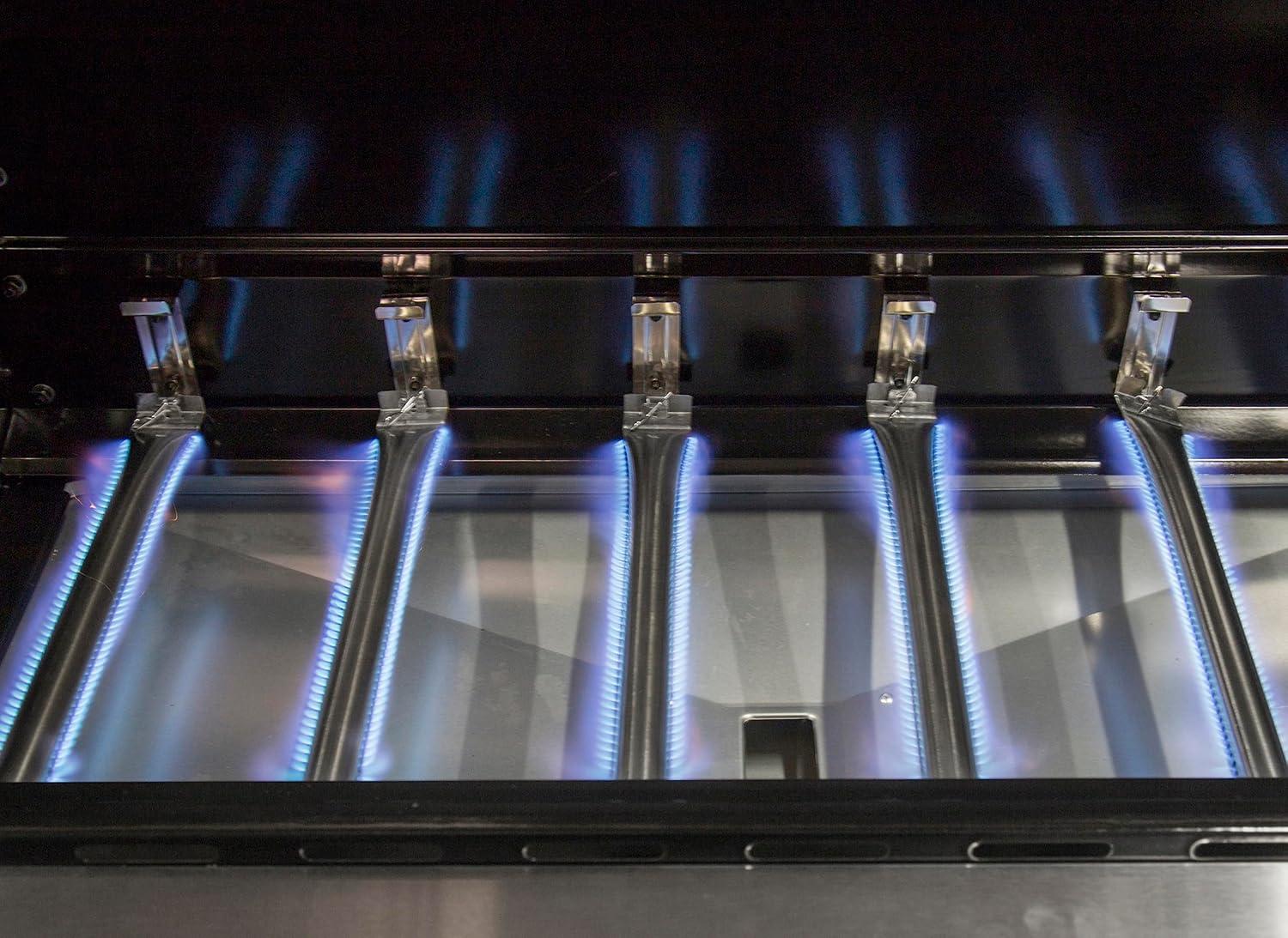 Grill Masters Unite: Our Experience with Dyna-Glo's 5 Burner