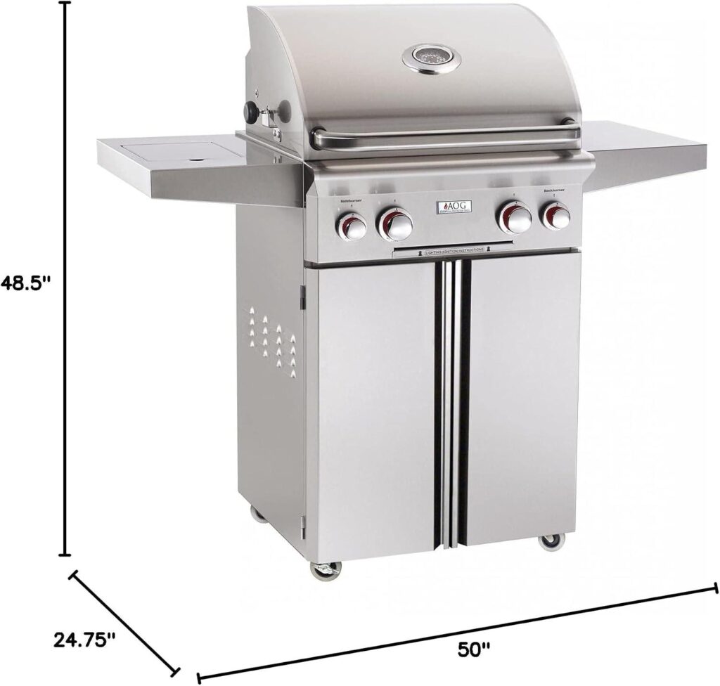 Grill & Chill: Exploring the AOG T-Series Magic