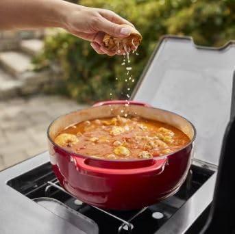 Grill ⁤Mastery unleashed: Our Journey with the Weber Summit