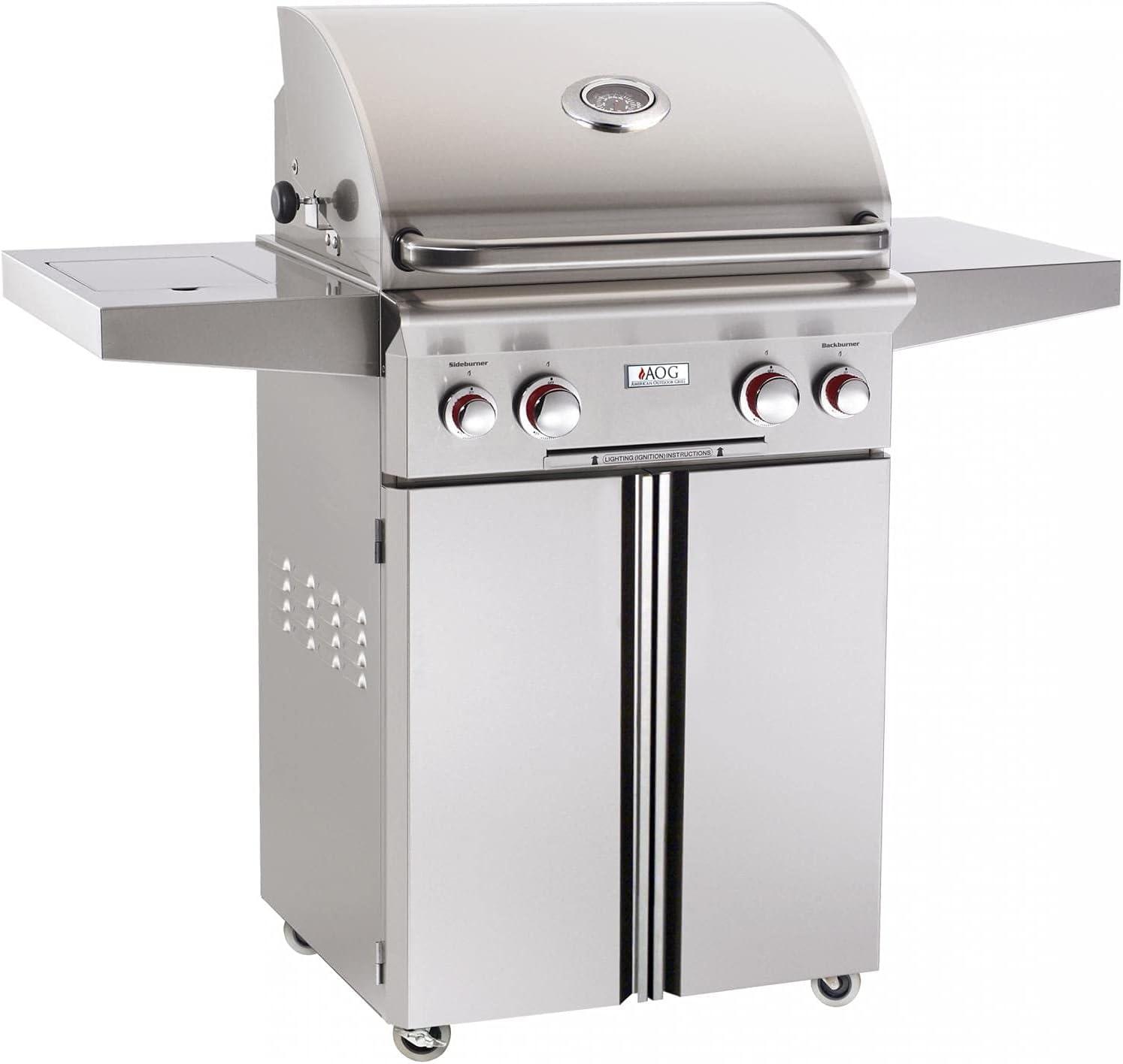 Grill & Chill: Exploring the AOG T-Series Magic