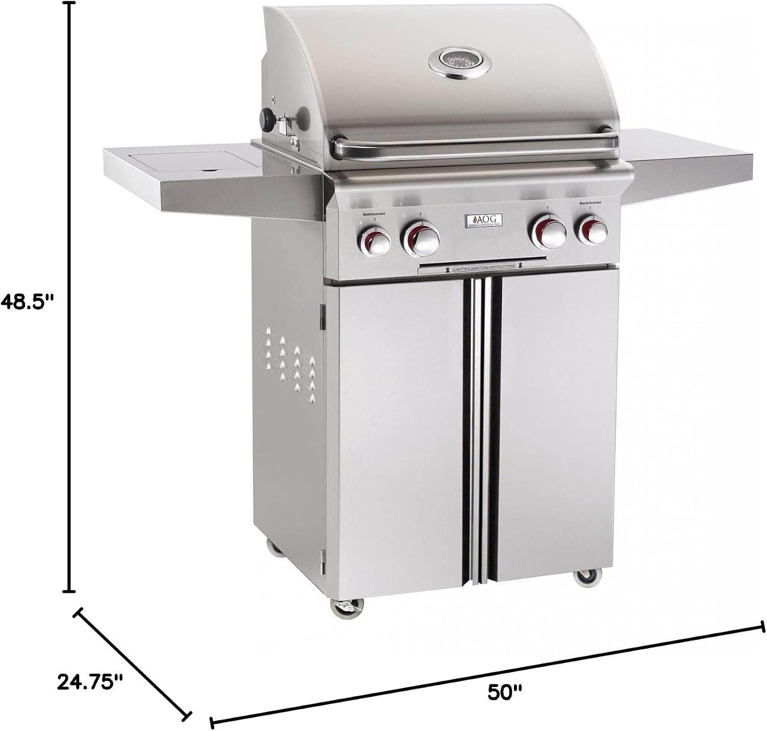 Grill & Chill: Exploring the AOG T-Series Magic