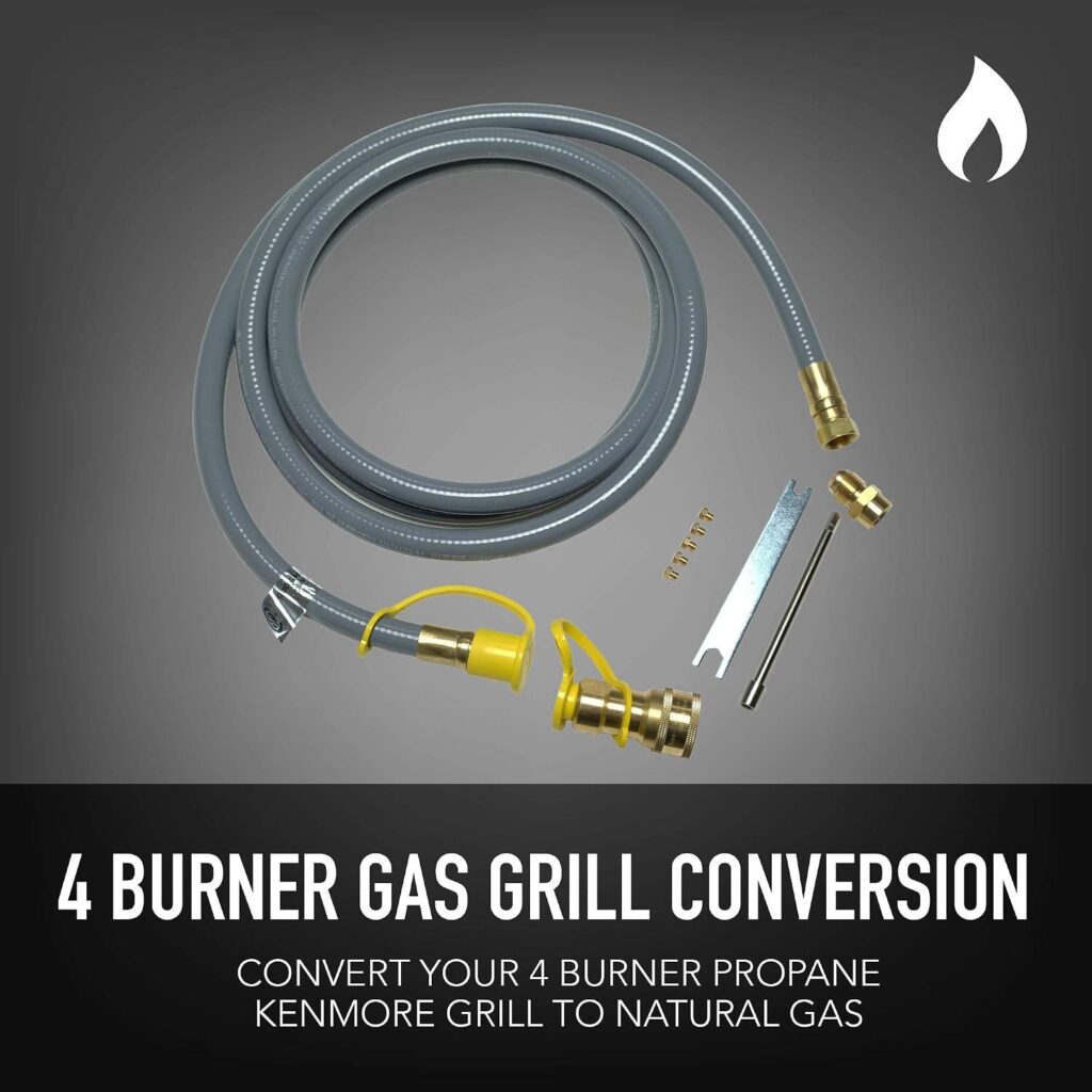 Grill with Ease: Our Kenmore 4-Burner BBQ Adventure