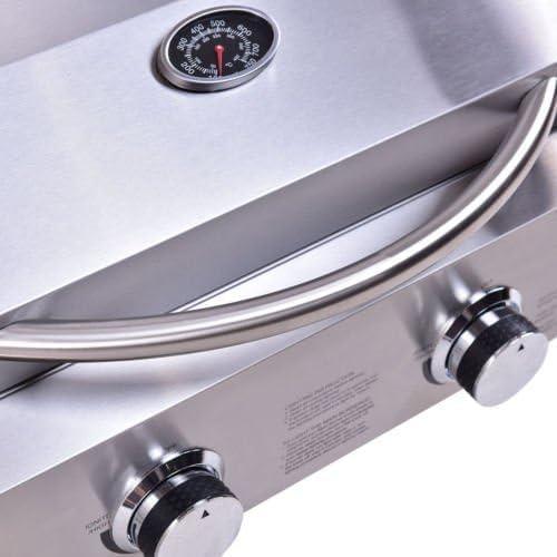 Grill On-the-Go: Our Adventure with a 2-Burner BBQ