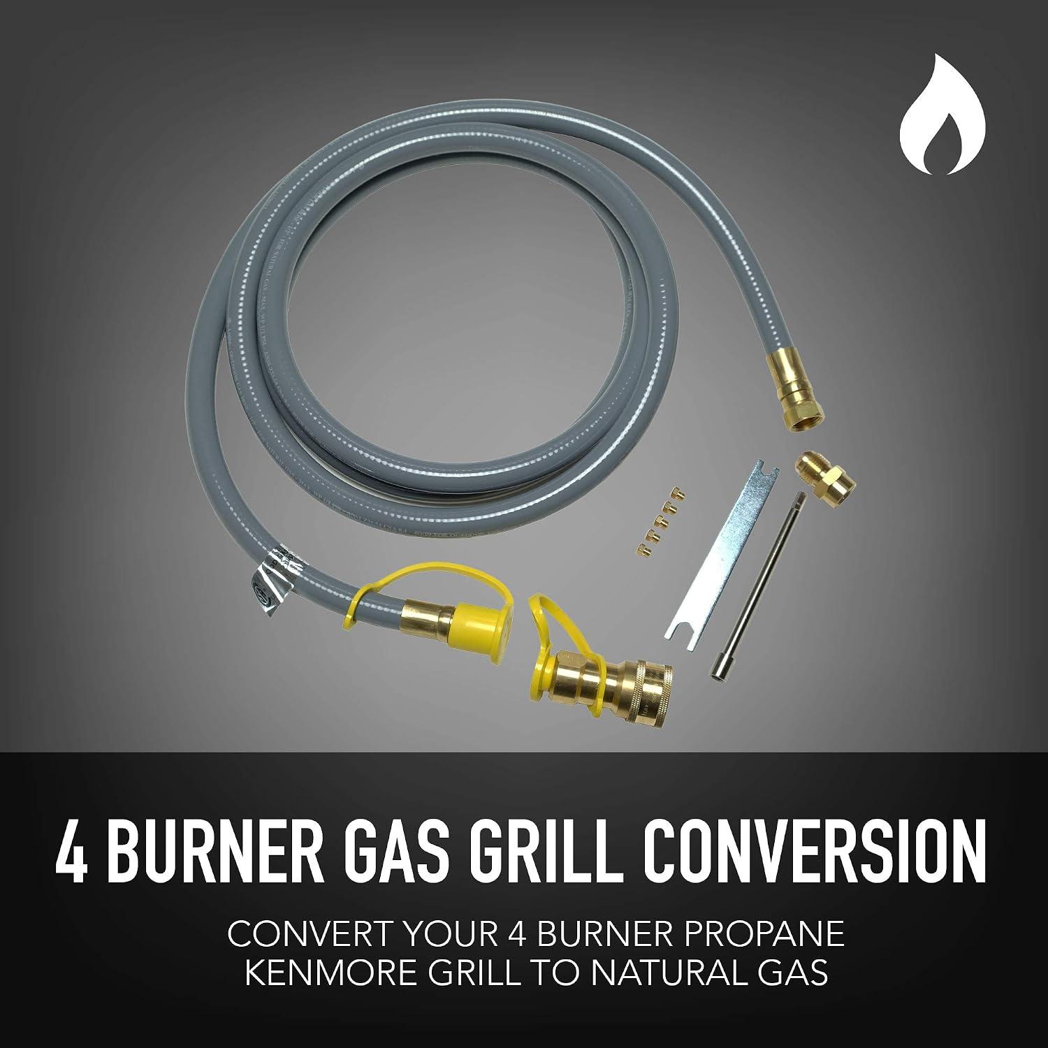 Grill with Ease: Our Kenmore 4-Burner BBQ adventure