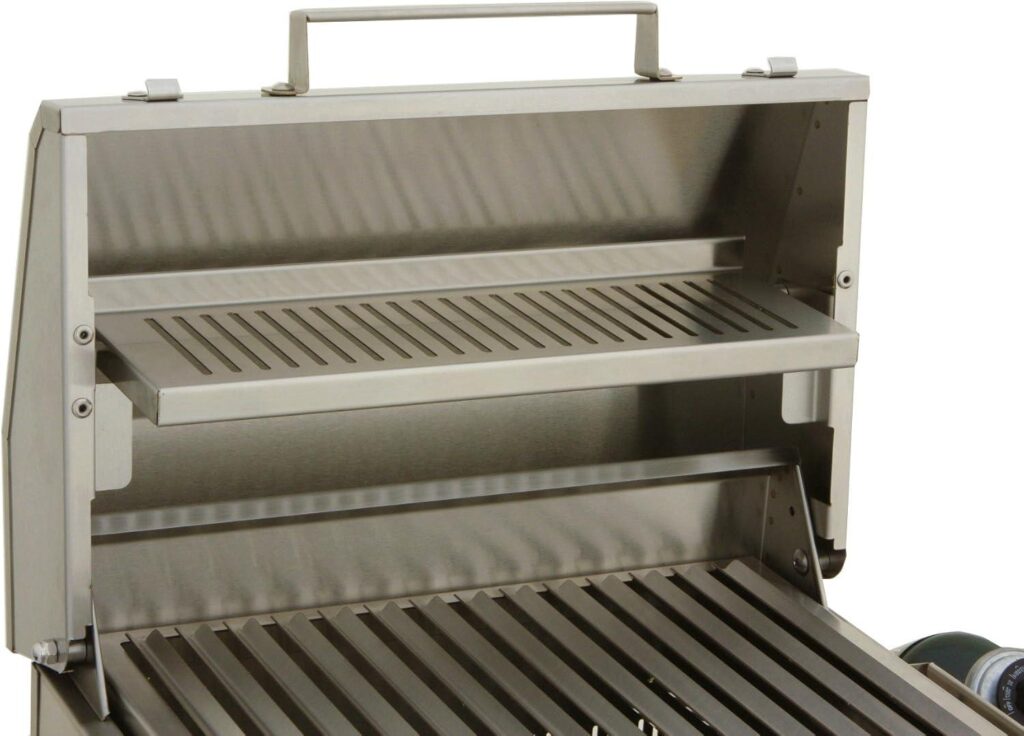 Grill On the Go: Our Solaire Portable Grill Adventure